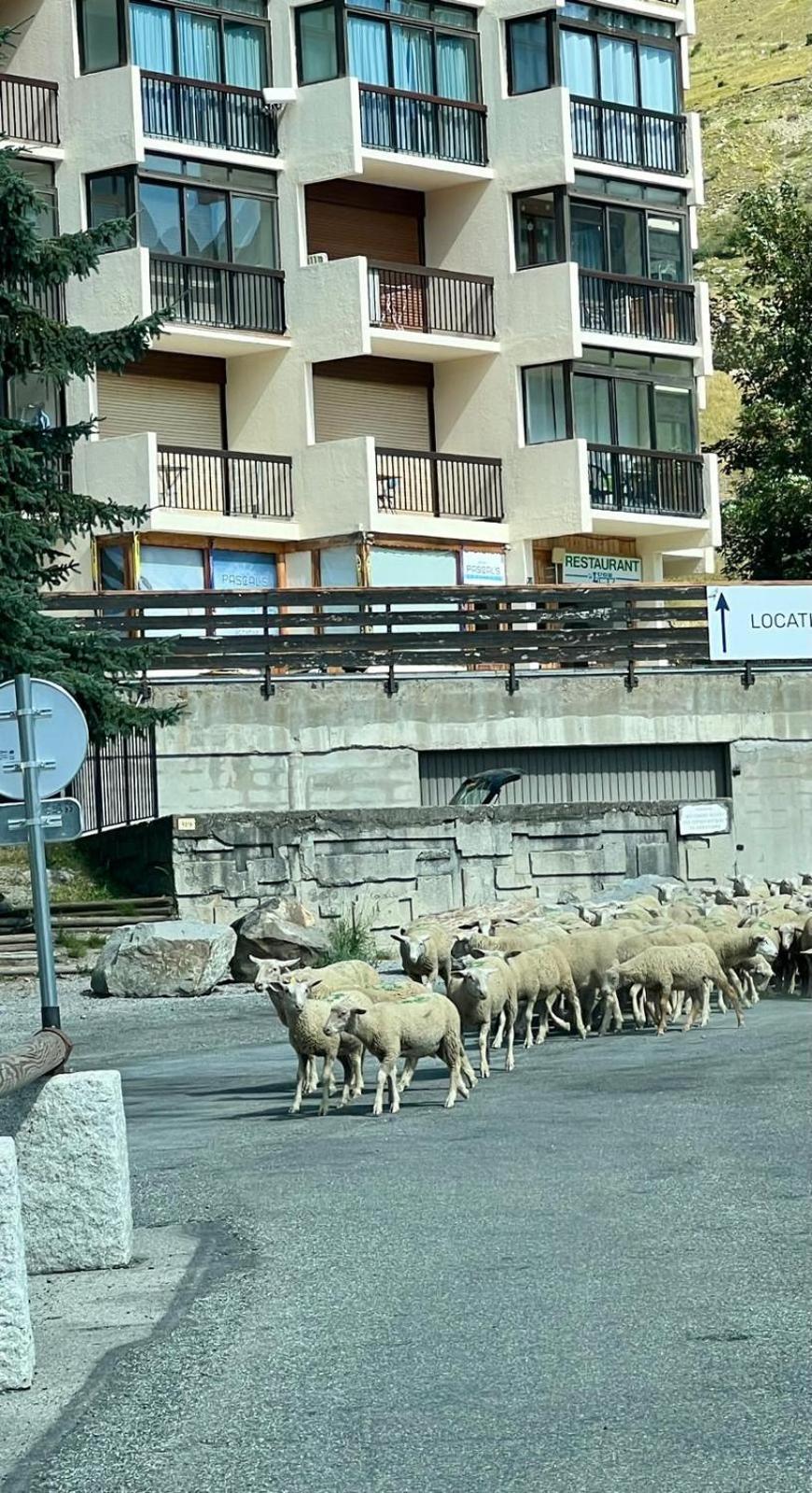 Orcieres - Studio Au Pieds Des Pistes Εξωτερικό φωτογραφία